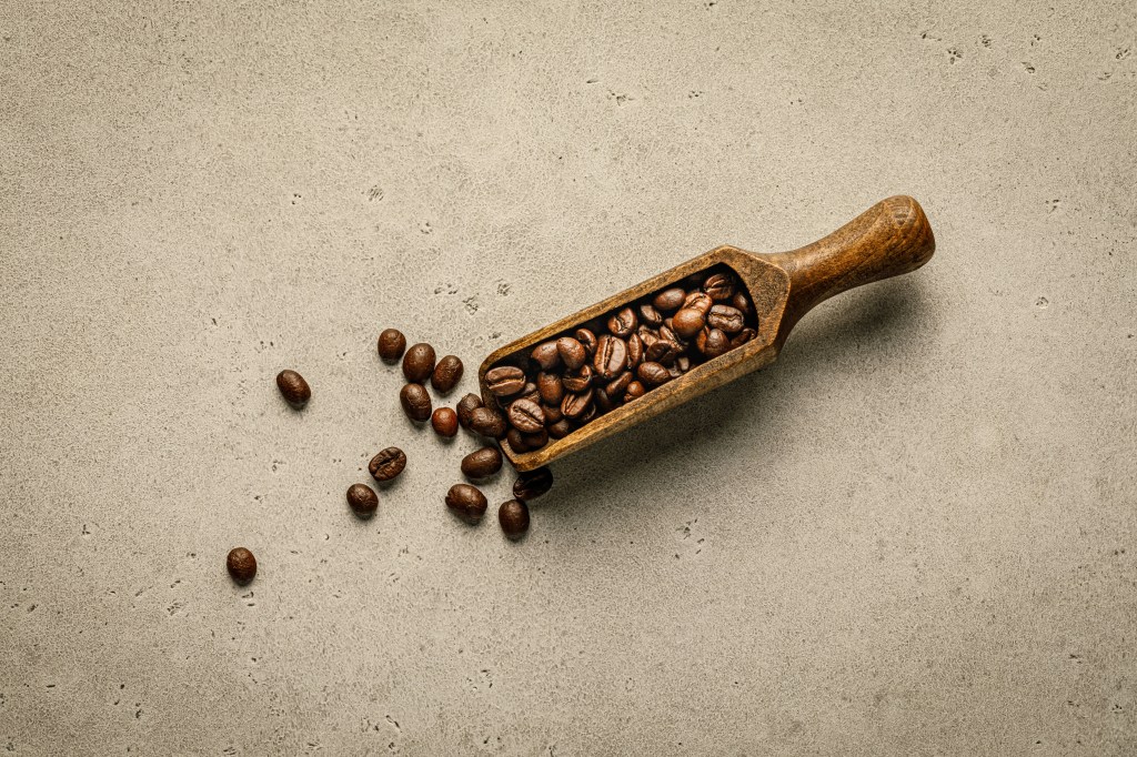 ¿Qué diferencia hay entre el café arábica y el&nbsp;robusta?